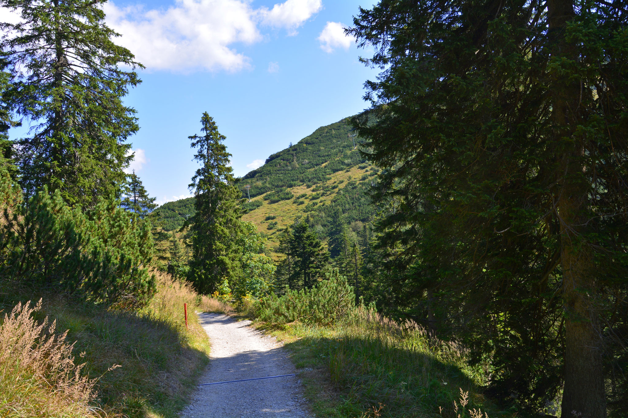 Bad Reichenhall